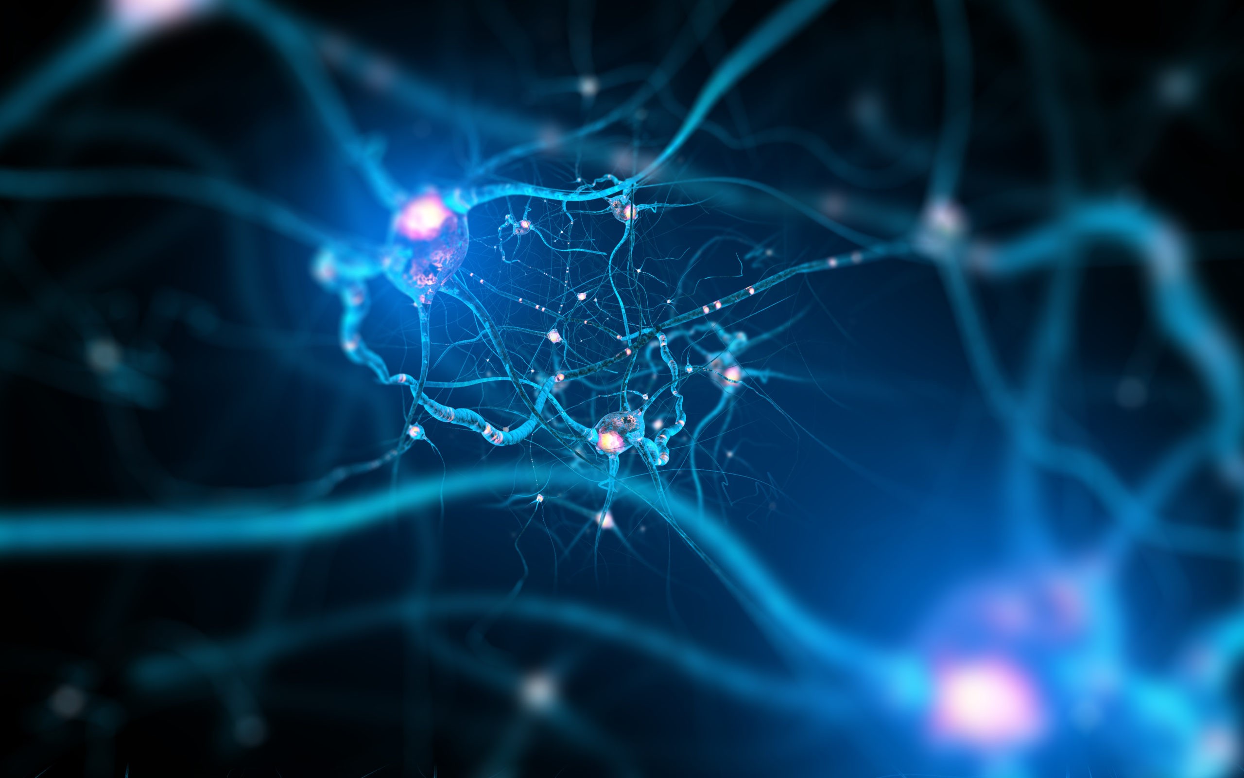 VA Disability Ratings for Nerve Damage CCK Law
