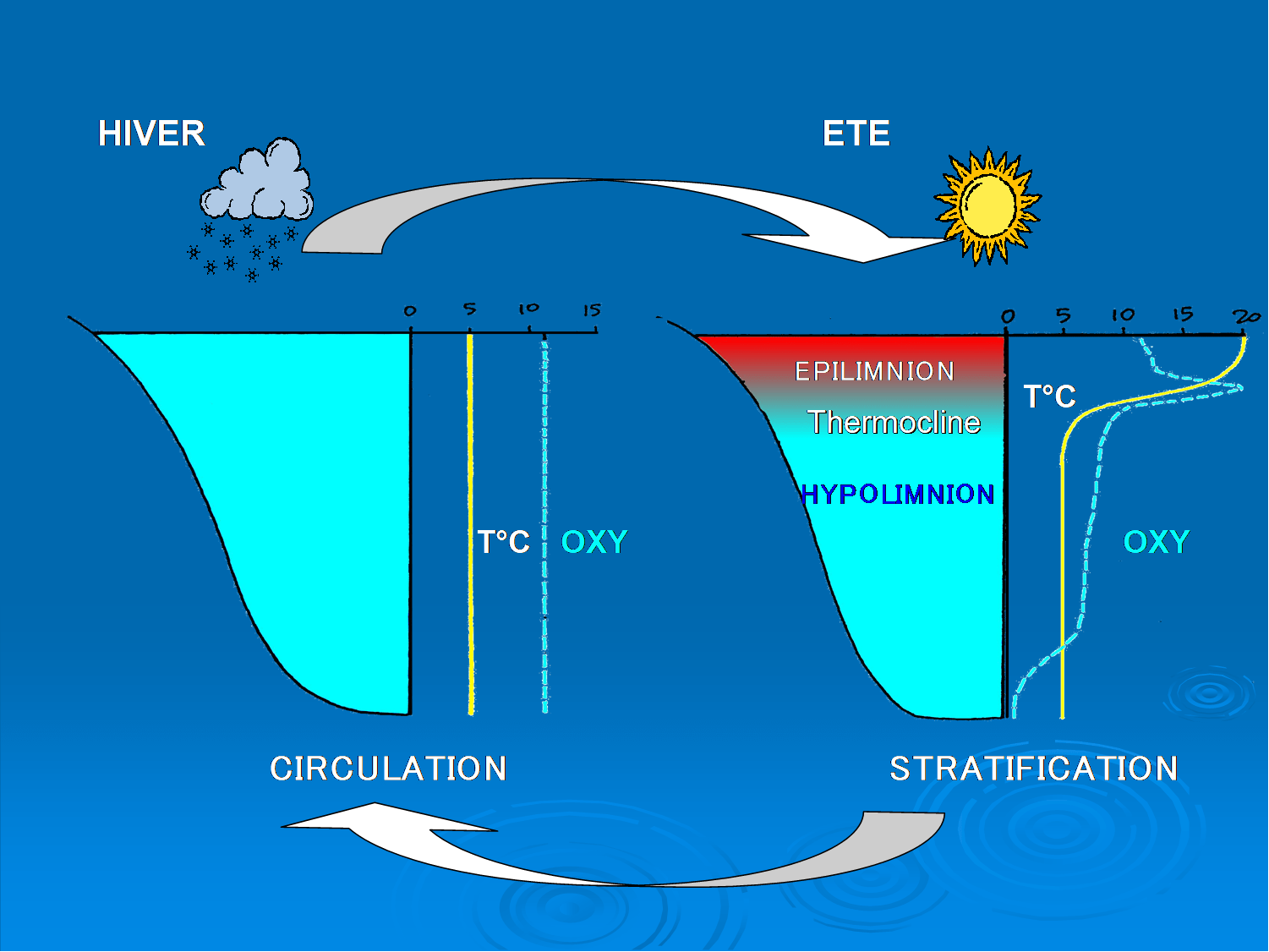 Le fonctionnement du lac CCLA Communauté de communes du lac d