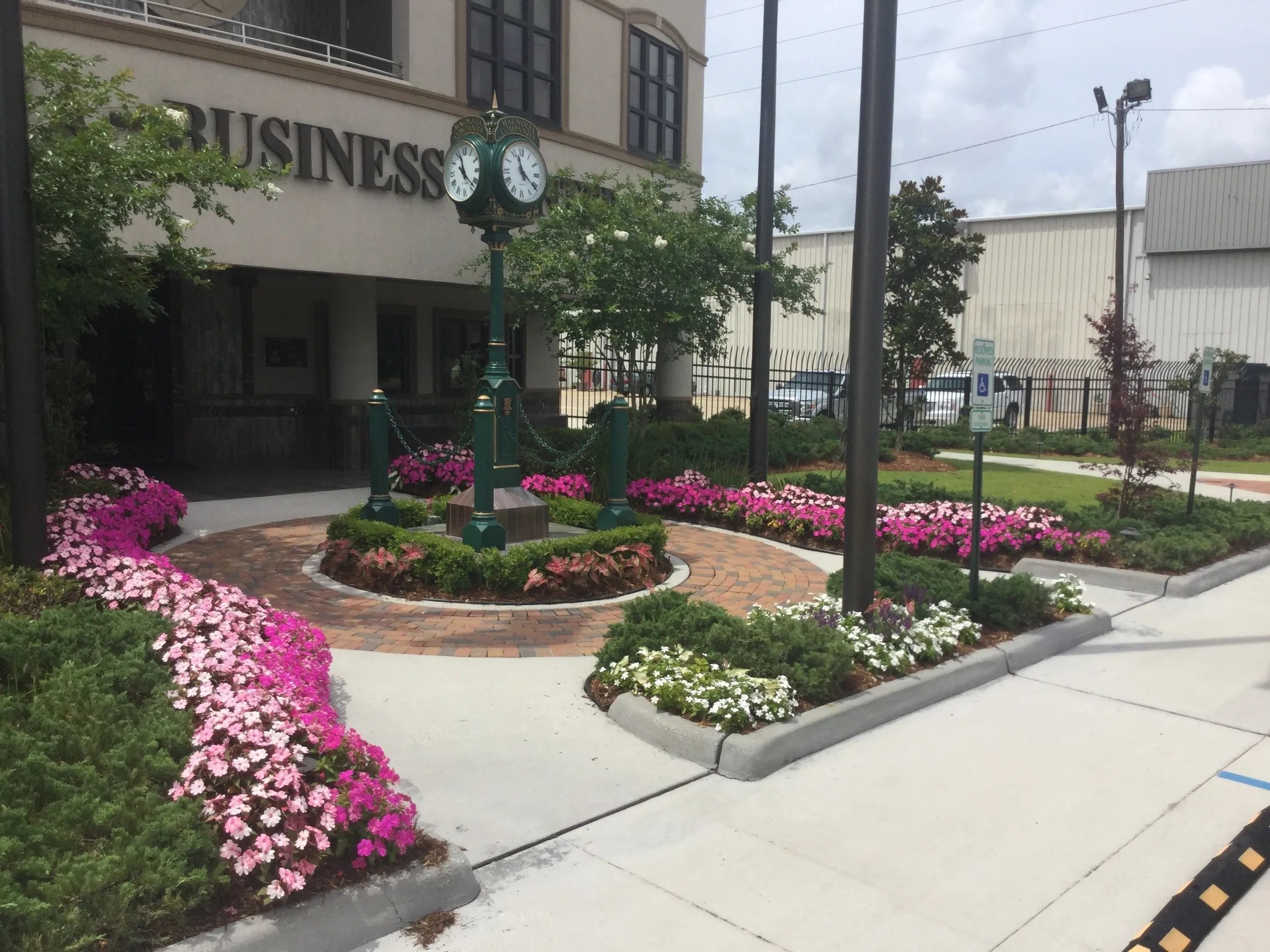 10 Best Flowering Plants for Your Louisiana Yard