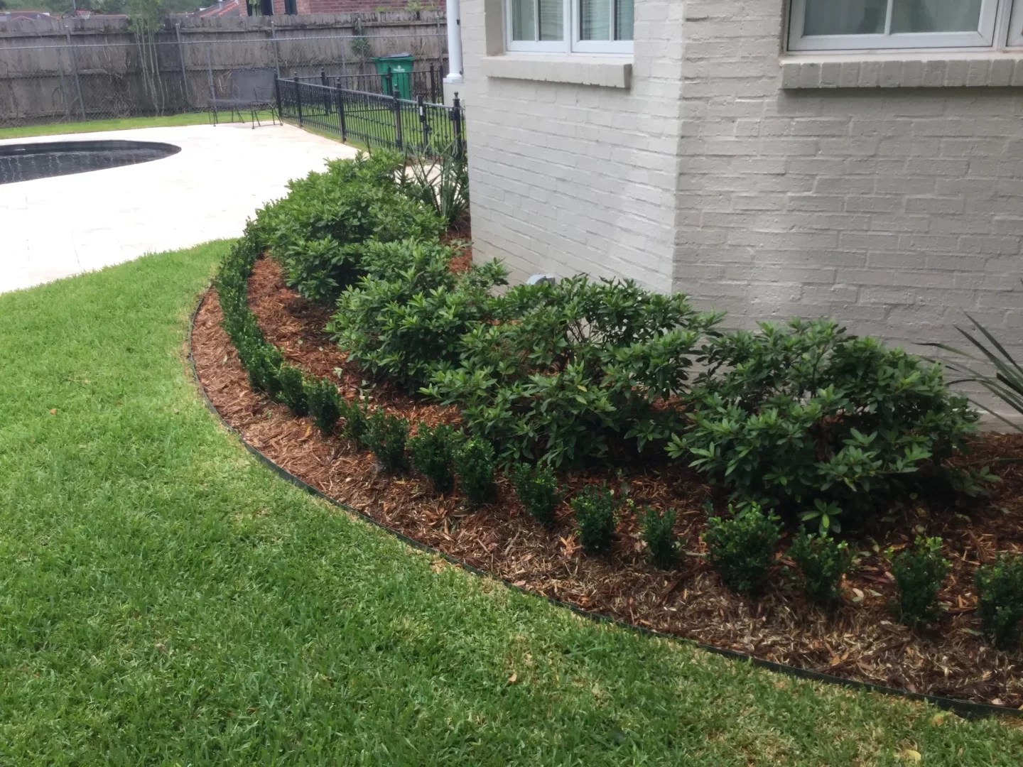 Best Shrubs for Louisiana Landscapes