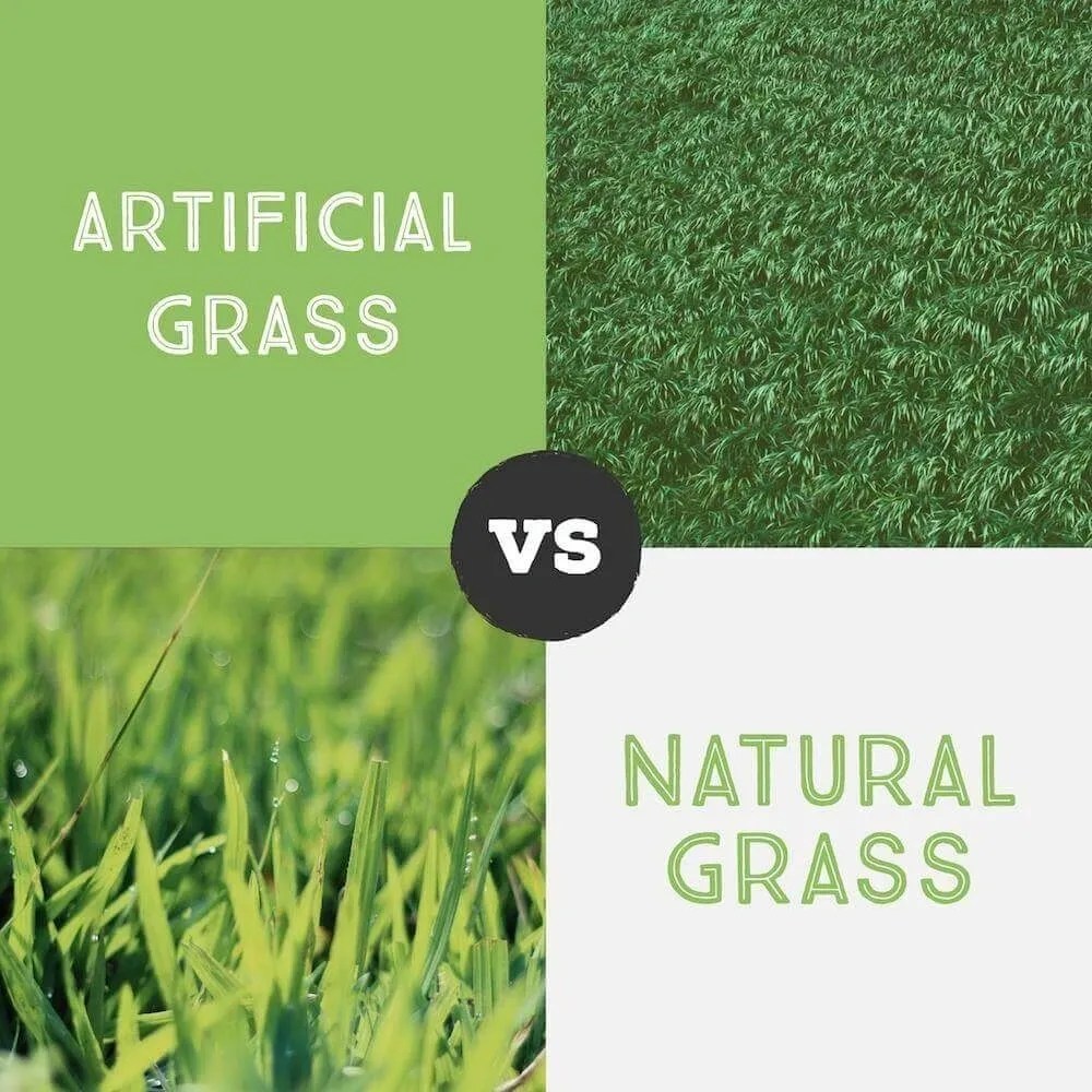Do you Really want Artificial Grass? Pro and Cons Clean Cut Landscape Co.