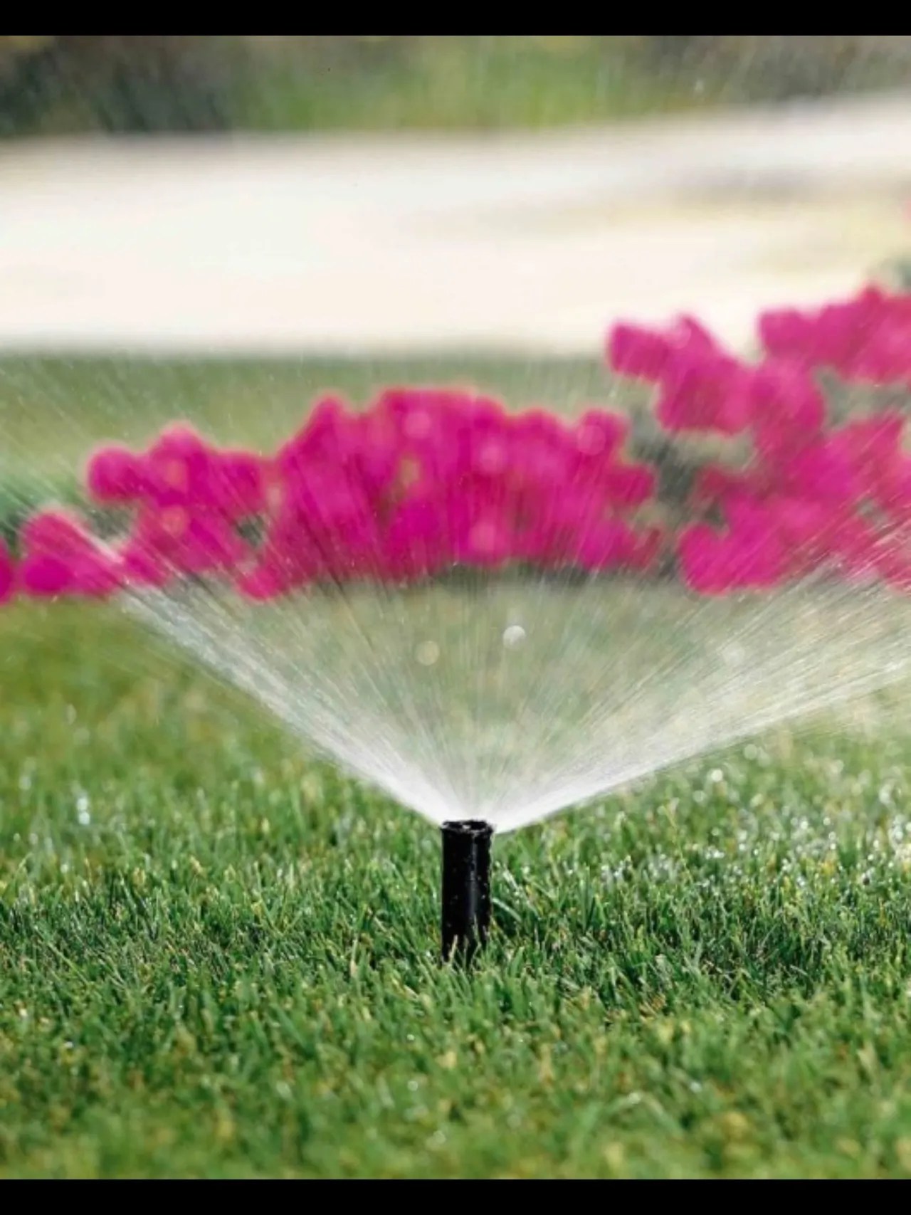 How Much Water does my Landscape need? Clean Cut Landscape Co.