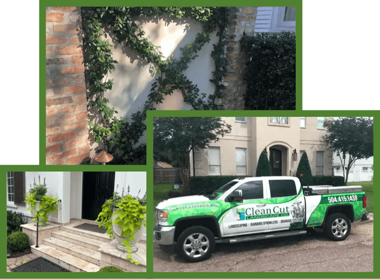 Clean Cut Landscape Co. Landscaping Company Metairie