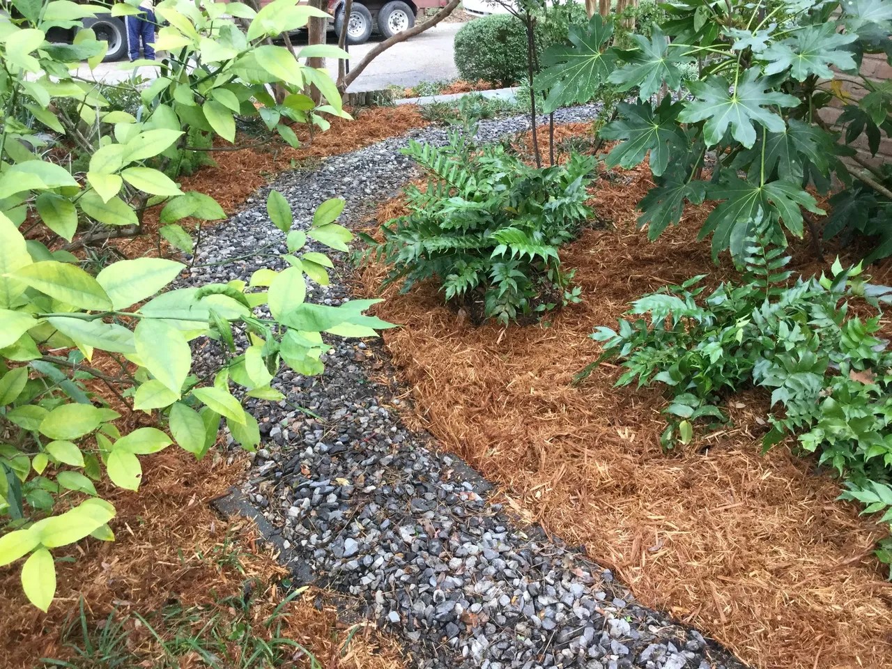 Landscape Planning & Installation Metairie & New Orleans