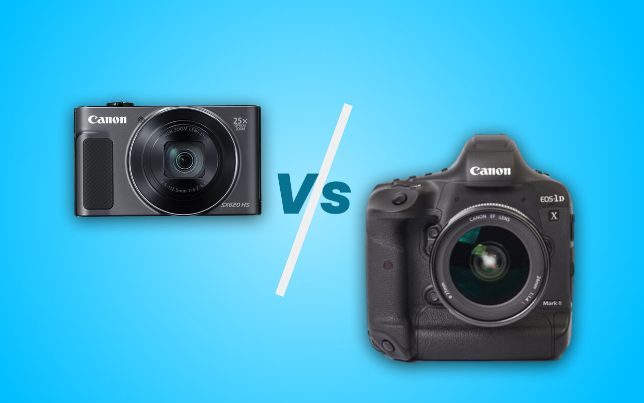 Differences Between Cheap And Expensive Camera Which One Is Better