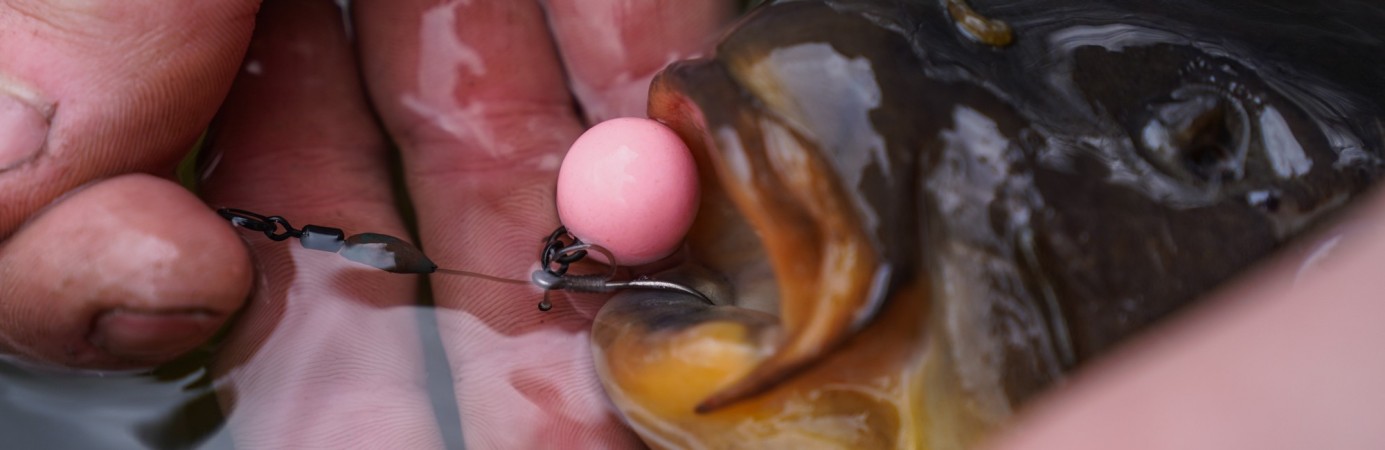 Pop Up Boilies Pop Up Baits Carp Pop Ups CC Moore
