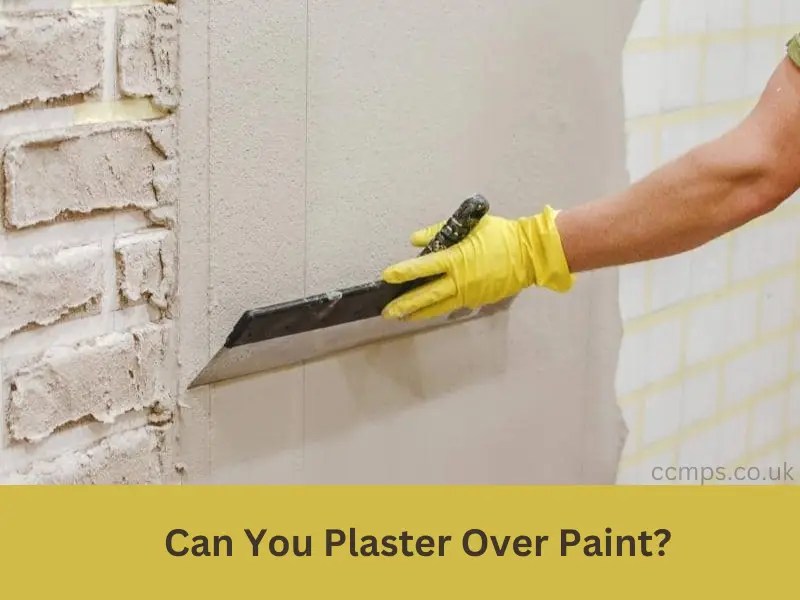 Can You Plaster Over Paint? Unveiling the Possibilities