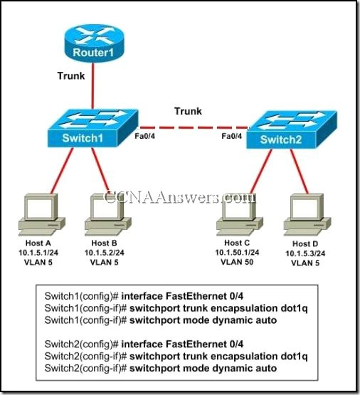 CCNA 3 Chapter 3 V4.0 Answers
