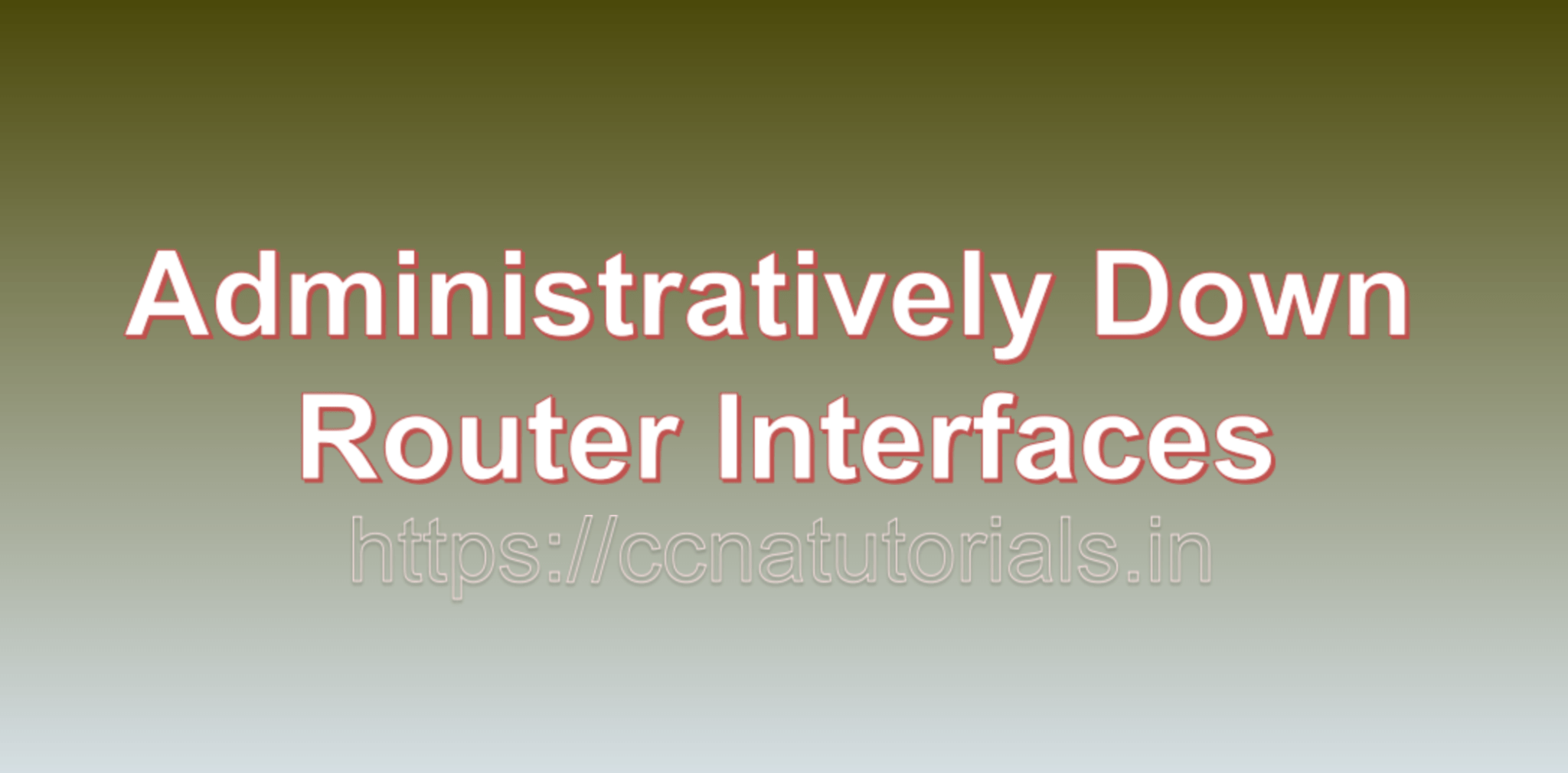 Administratively Down Router Interfaces Causes and Solutions CCNA