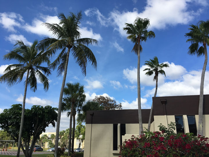 CCNPOA Cypress Chase North Property Owners Association Lauderdale