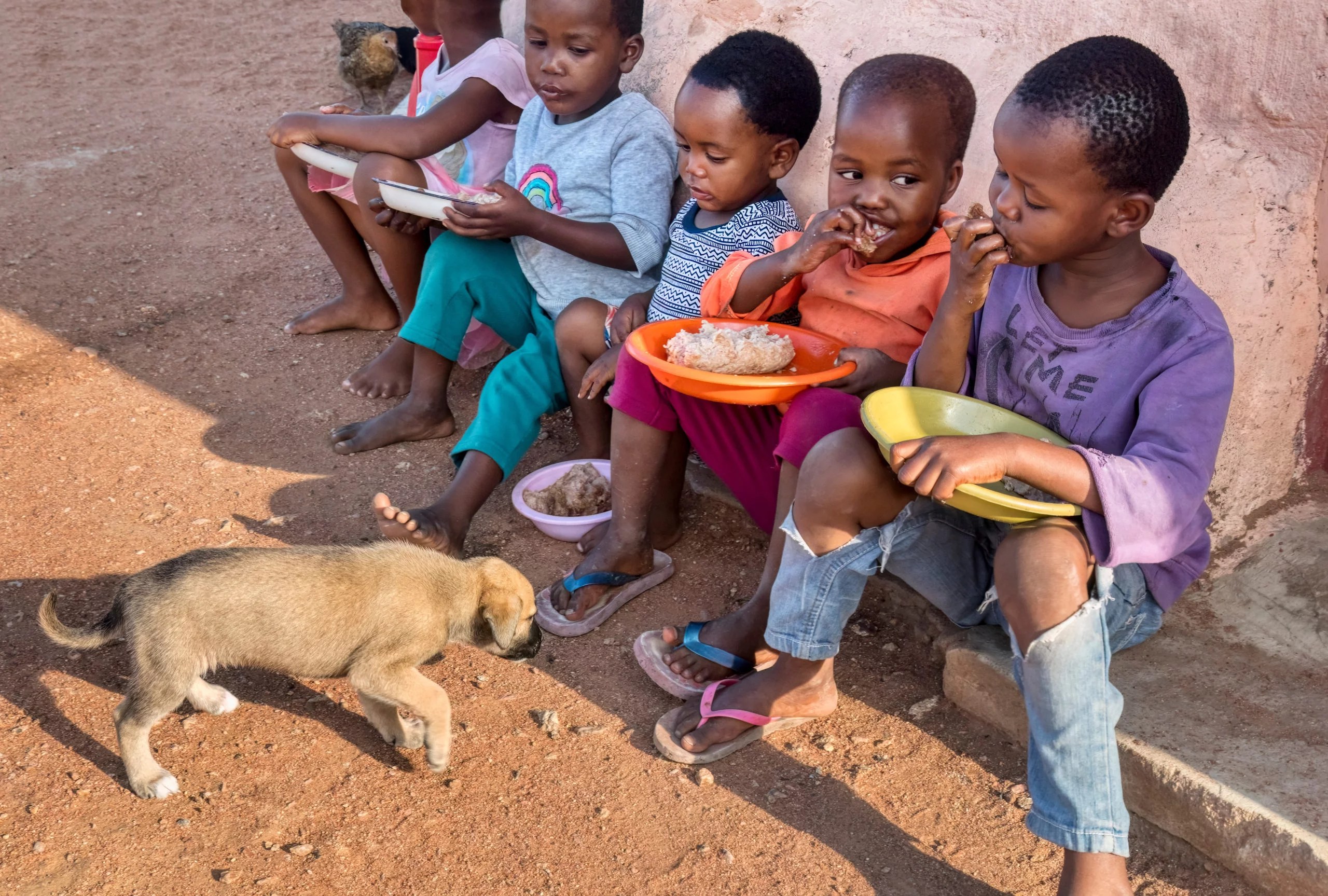 How CCP is Working to Reduce Rabies Cases in Côte d'Ivoire