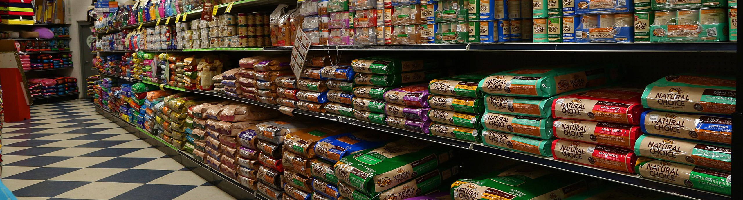 Creature Comforts Pet Store in Binghamton NY