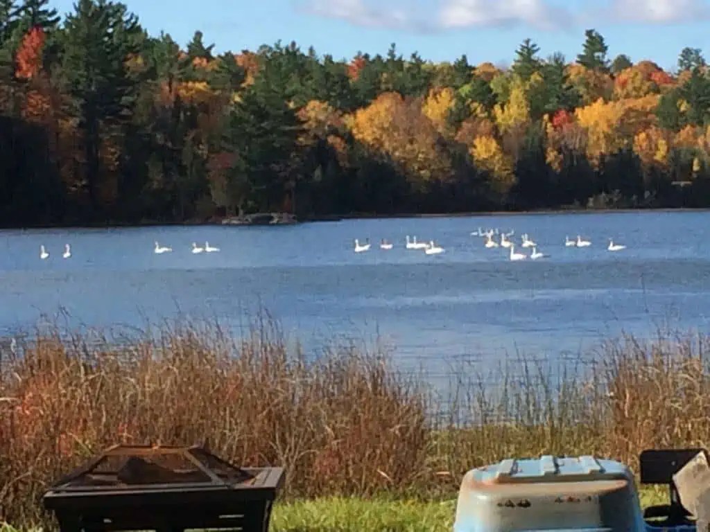 McGowan Lake Campground Canadian Camping and RV Council