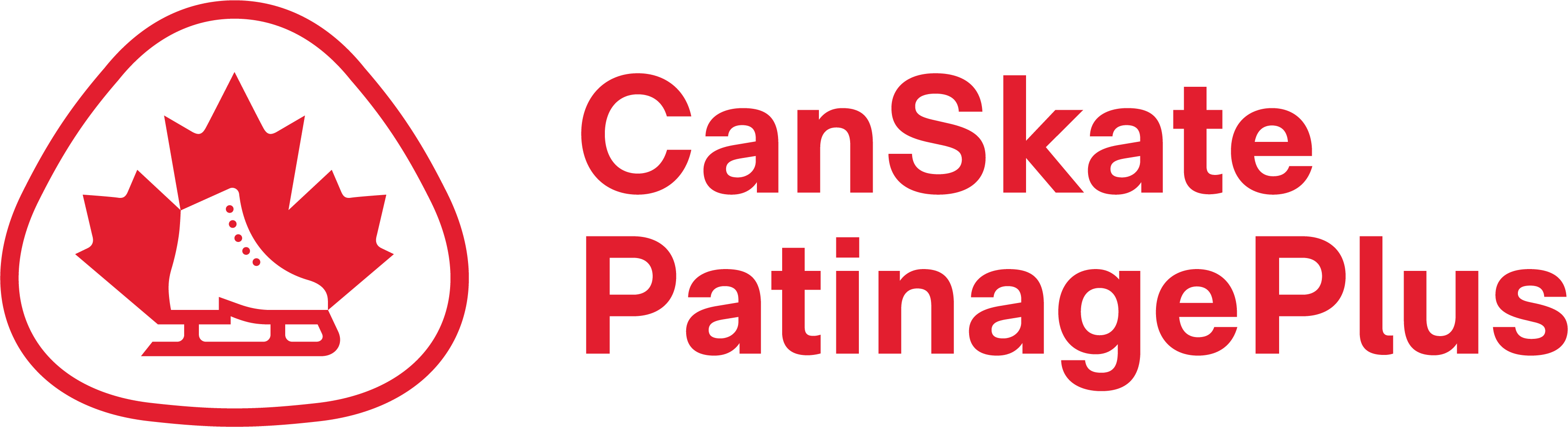 CanSkate Program Information Capital City Skating Club