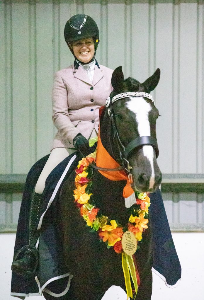 Membership & Registration Clydesdale Cross Sport Horse Association