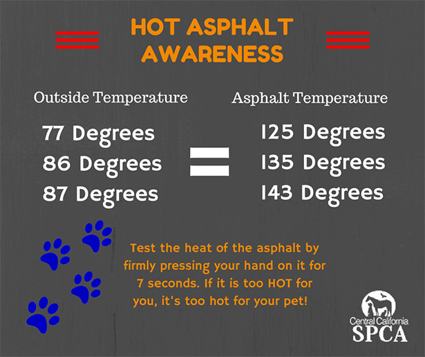 Hot Asphalt and Hot Cars Warning Central California SPCA, Fresno, CA