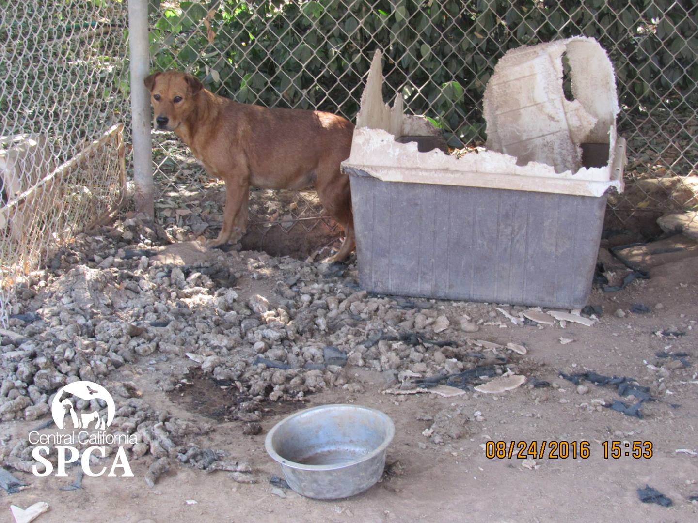 Orange Cove Investigation Filing Central California SPCA, Fresno, CA