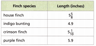 Into Math Grade 6 Module 2 Review Answer Key – CCSS Math Answers
