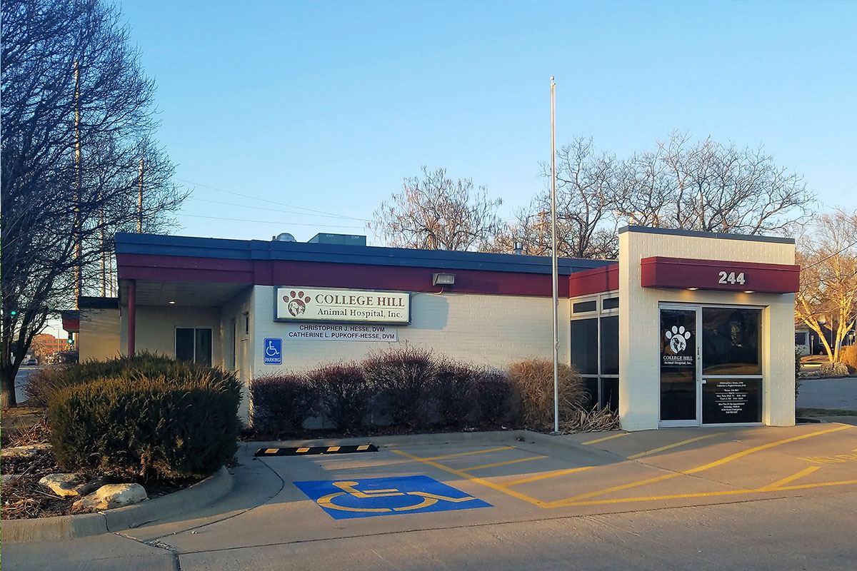 College Hill Vet Clinic Commerce Construction Services, Inc.