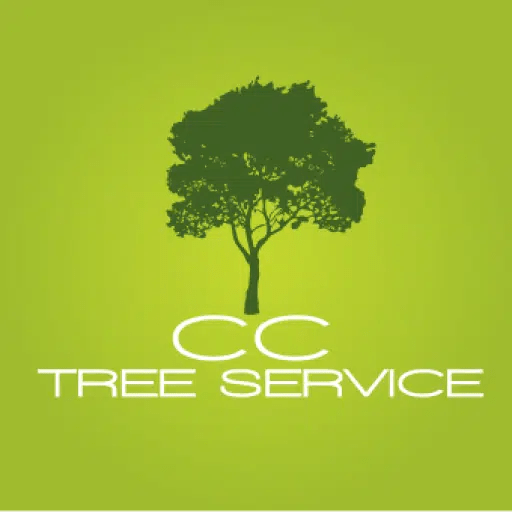 Tree Safety Tips CC Tree Service Corpus Christi TX