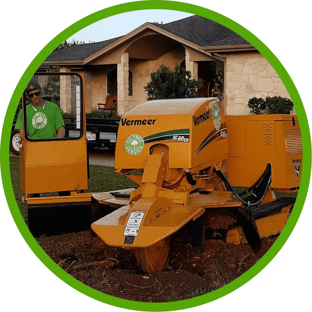 Stump Grinder To Hire CC Tree Service Corpus Christi TX