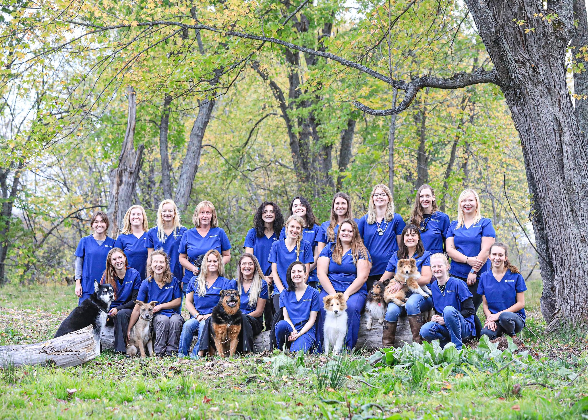 Copper Country Veterinary Clinic Let's Discover What We Can Do For