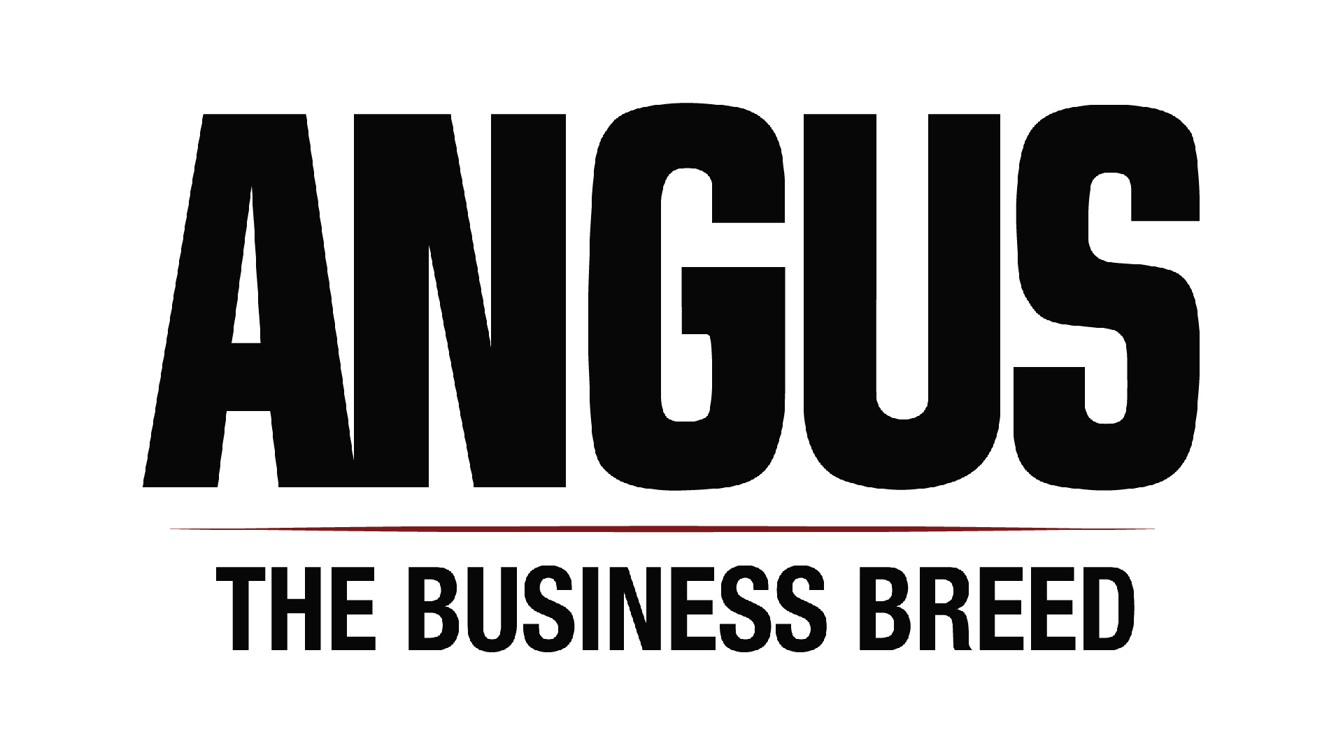 angus sutherland net worth - Ilustrasi 2