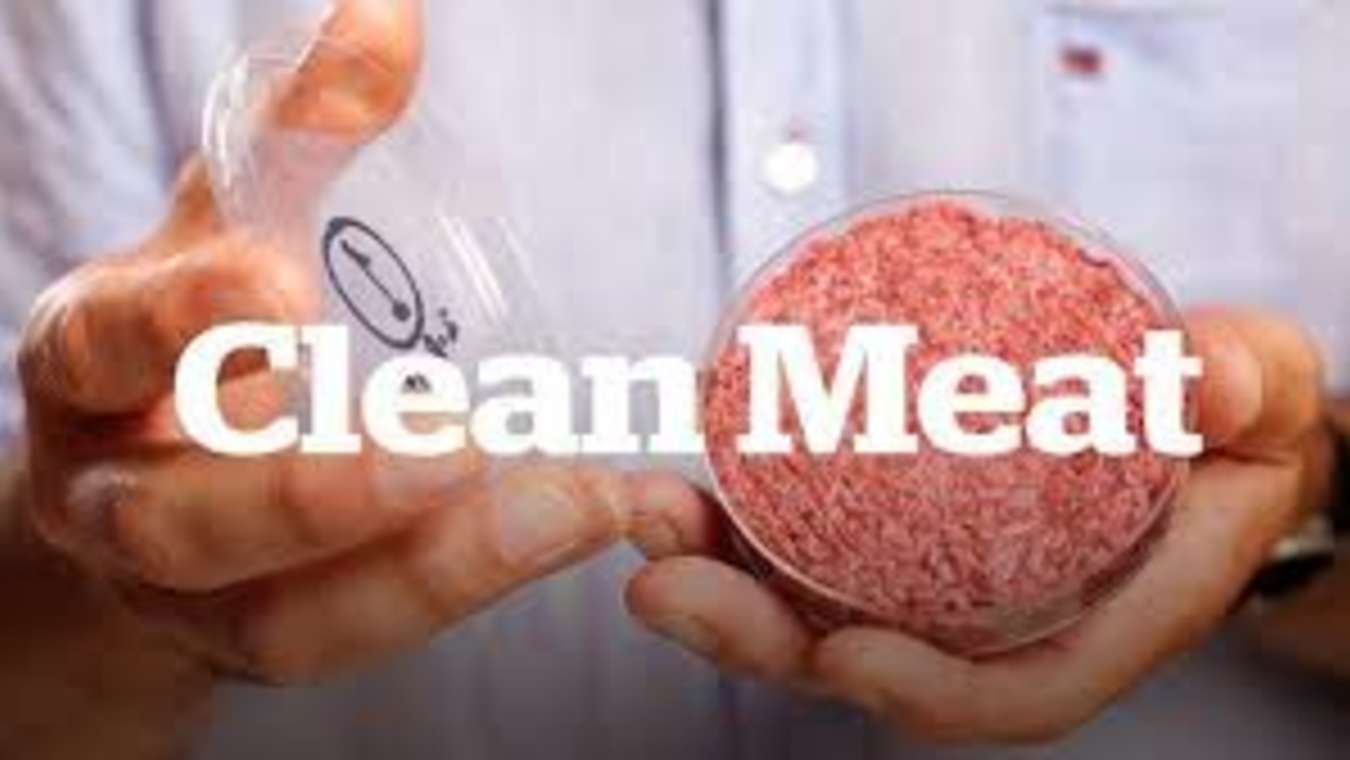 "Clean Meat" Offers Potential for CrueltyFree Eating without Unwanted
