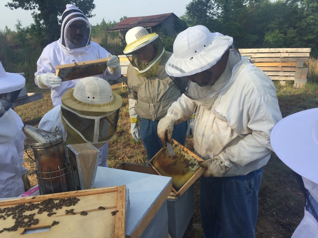 june2016classa Beekeeping USA