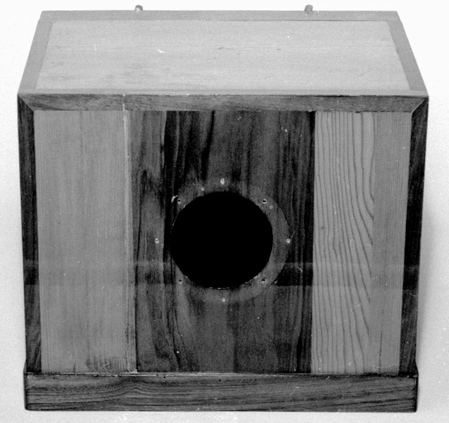 Vintage Giroux camera Contemporary Daguerreotypes