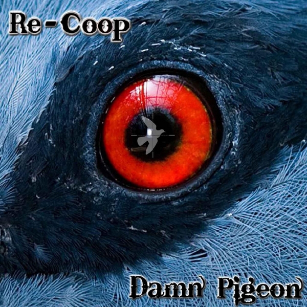 Damn Pigeon ReCoop CD Baby Music Store
