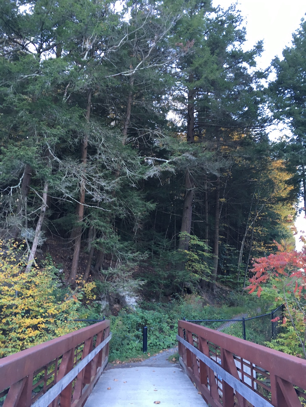 Hiking Lackawanna State Park Frost Hollow Trail and Snowflake Trail