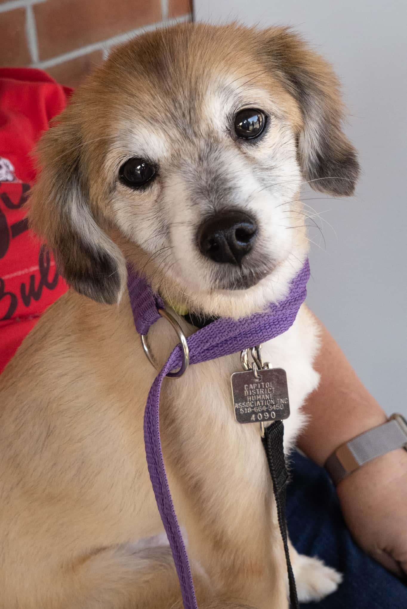 Charlotte Capital District Humane Association