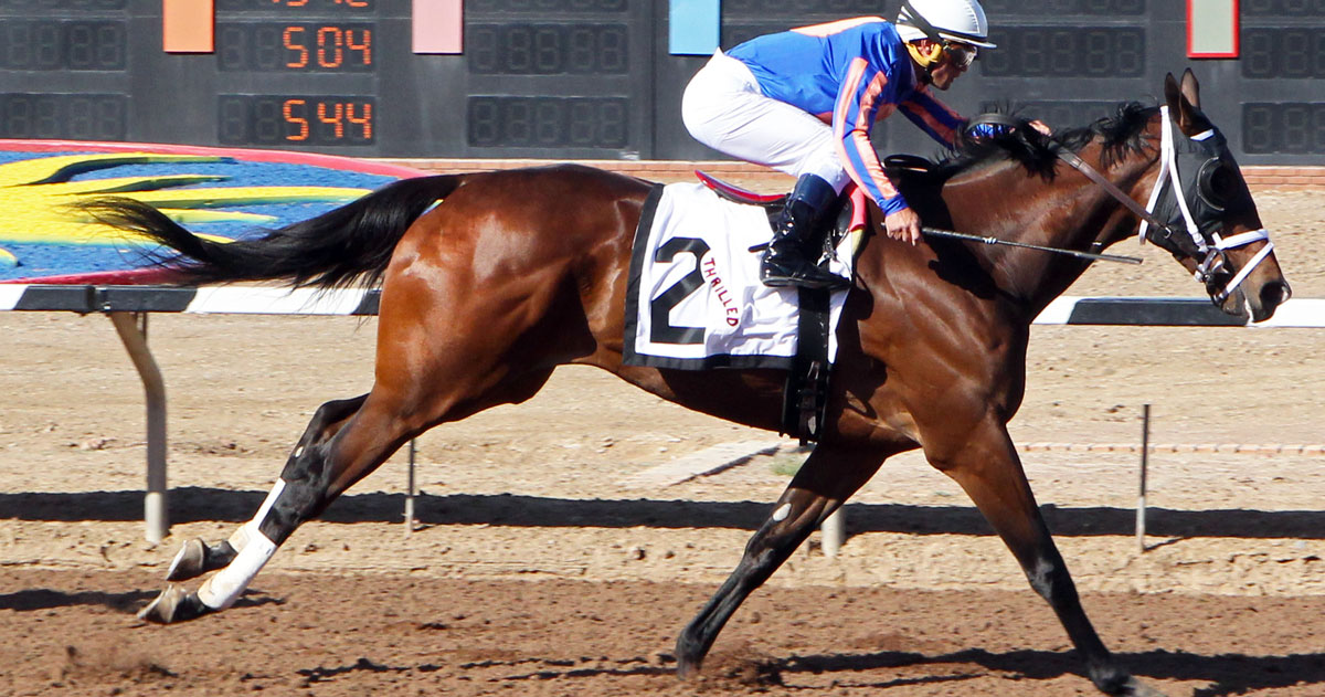 Thrilled 2022 Kentucky Derby & Oaks May 6 and May 7, 2022
