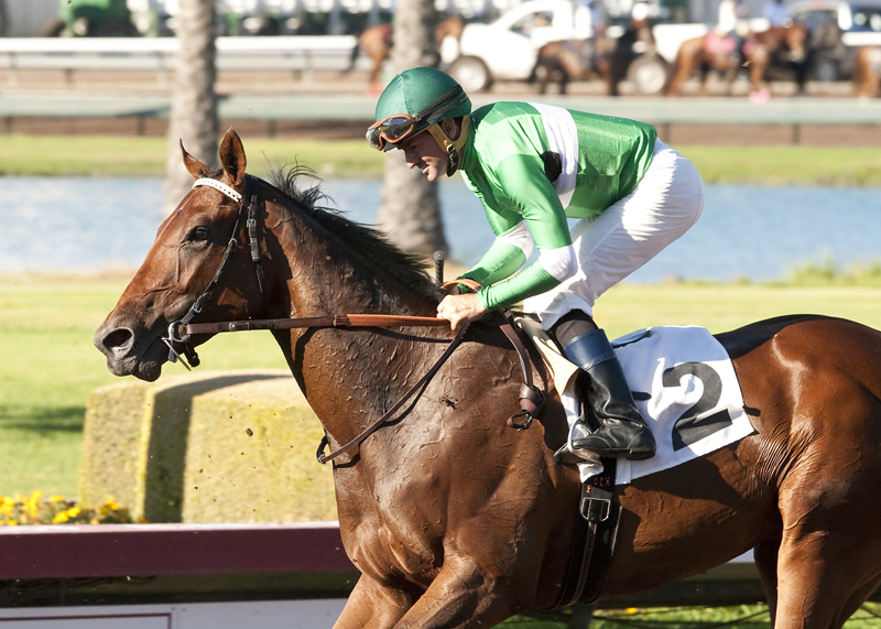 Swipe 2022 Kentucky Derby & Oaks May 6 and May 7, 2022
