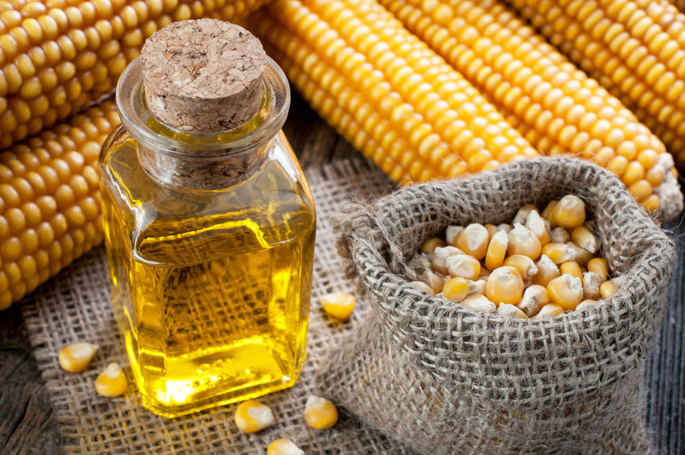 Could Corn Oil Be The Key To Heart Health? Cardio and