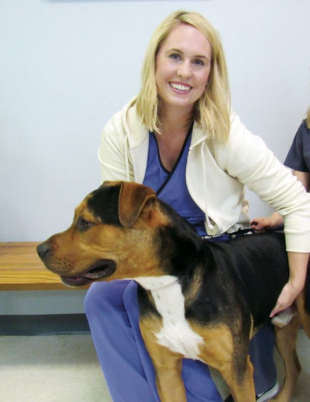 Surrendering animals A pet owner's last resort The Dispatch