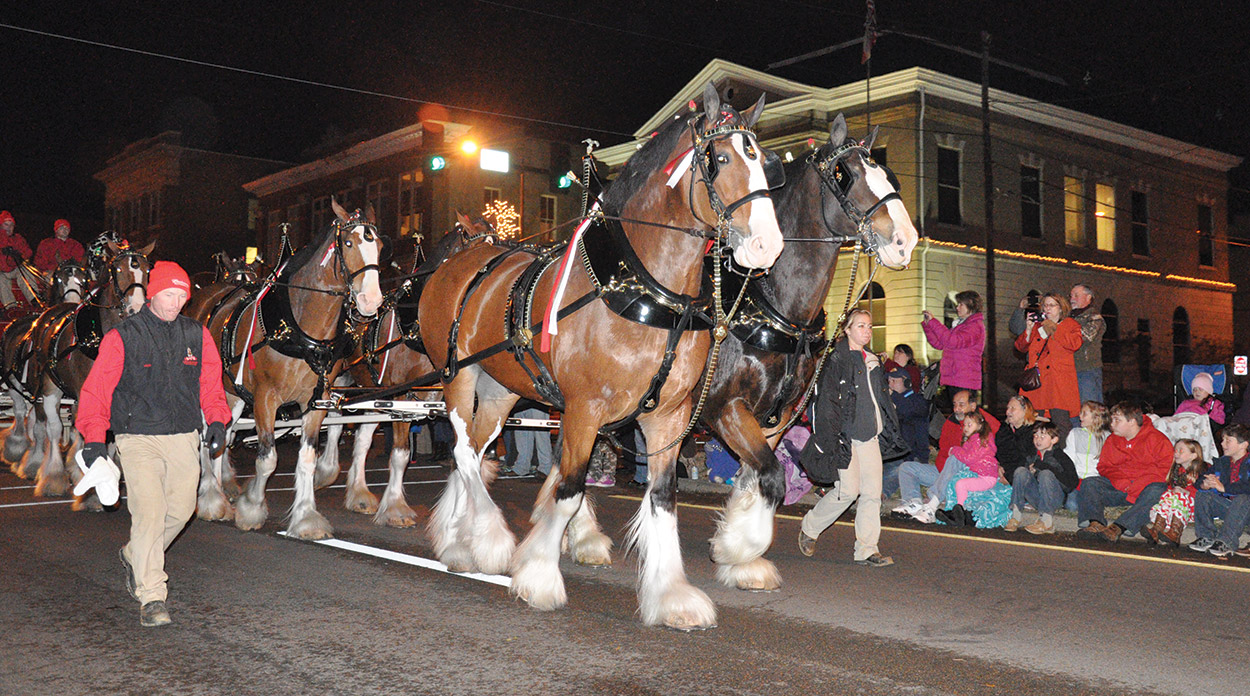 Booneville Ms Christmas Parade 2022 Budweiser Clydesdales To Visit North Mississippi - The Dispatch