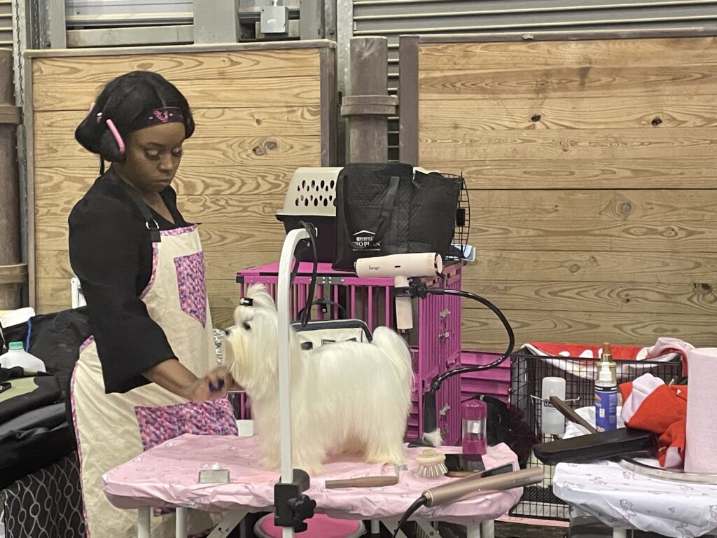Golden Triangle Kennel Club of Mississippi Dog Show The Dispatch