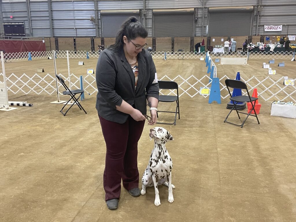 Golden Triangle Kennel Club of Mississippi Dog Show The Dispatch