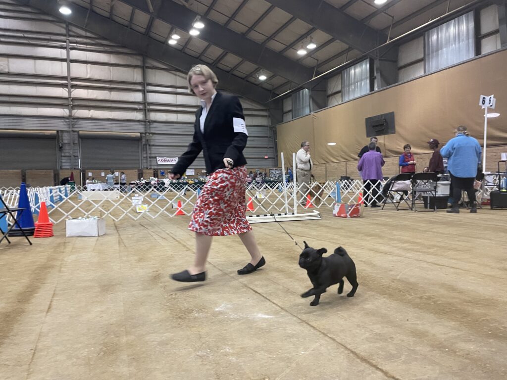 Golden Triangle Kennel Club of Mississippi Dog Show The Dispatch