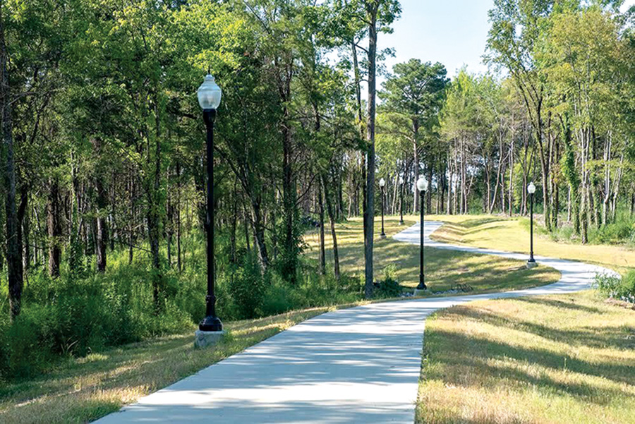 Roses and thorns 9223 The Dispatch