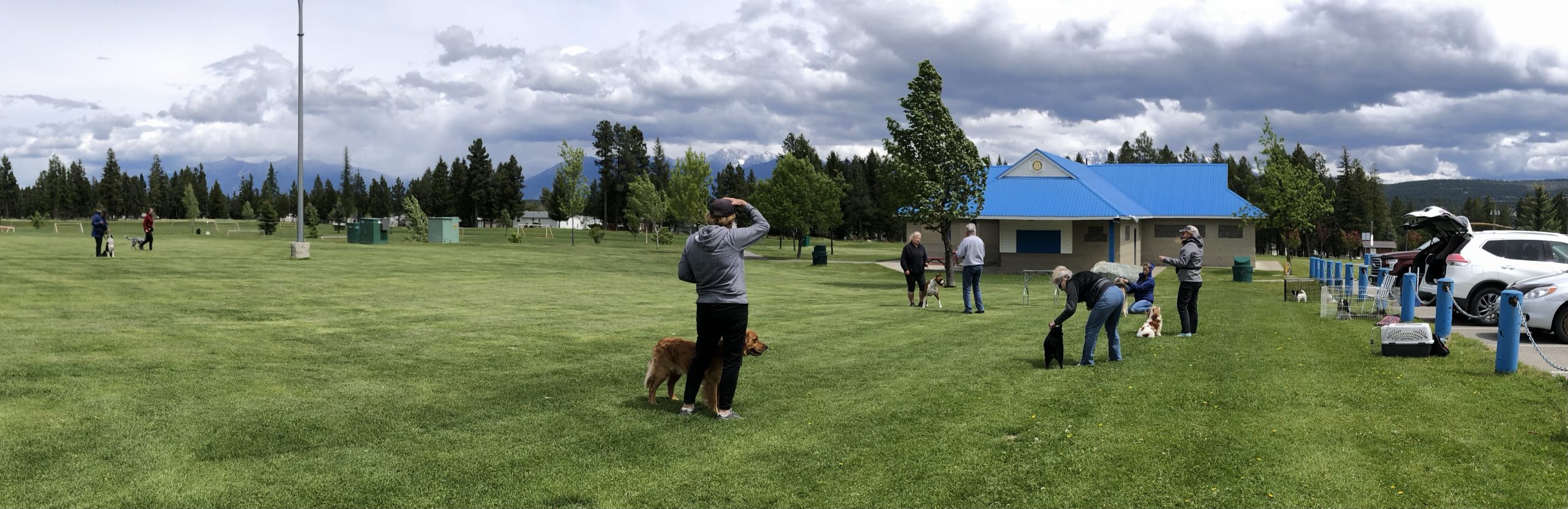 Activities Cranbrook and District Kennel Club