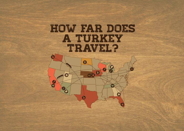 Infographic How Far Does The Turkey Travel? CDLLife