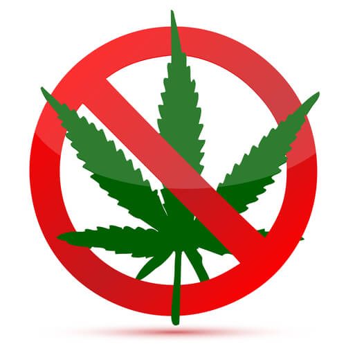 DOT Tells Drivers to Just Say No to Legal Pot CDLLife