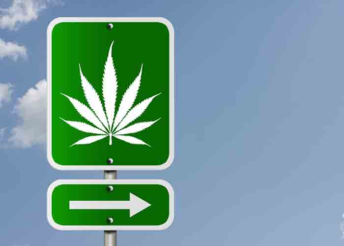 Truck driver out of service after marijuana odor led to discovery of