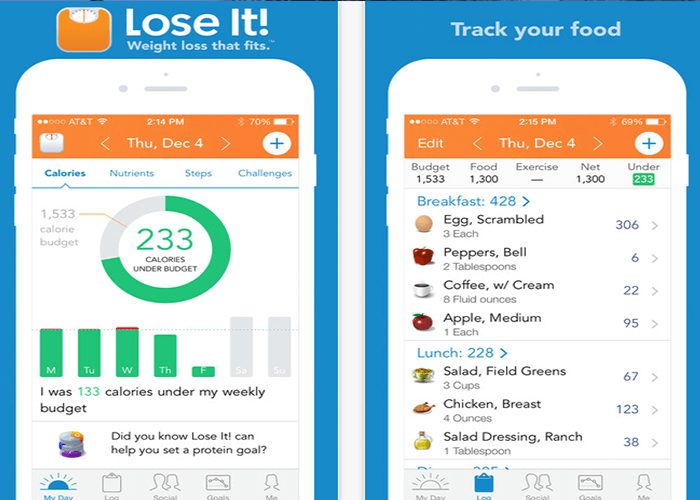 App Review Lose It! CDLLife
