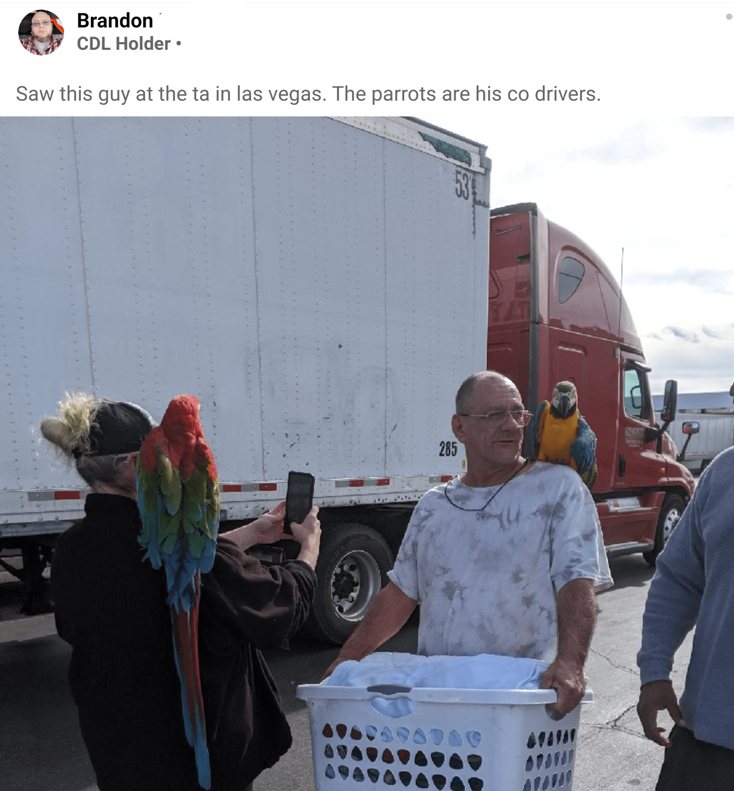 These wild trucking pets are a mustsee