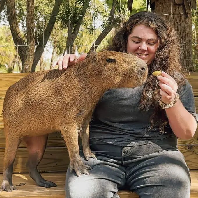 Top 10 Friendliest Animals in the World