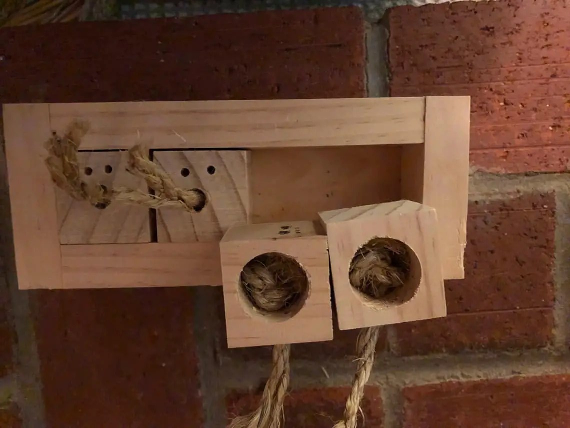 Custom Rabbit Hutches For Sale & Custom Rabbit Toys